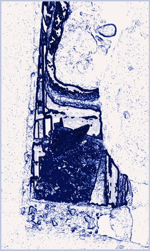 wired_anima
